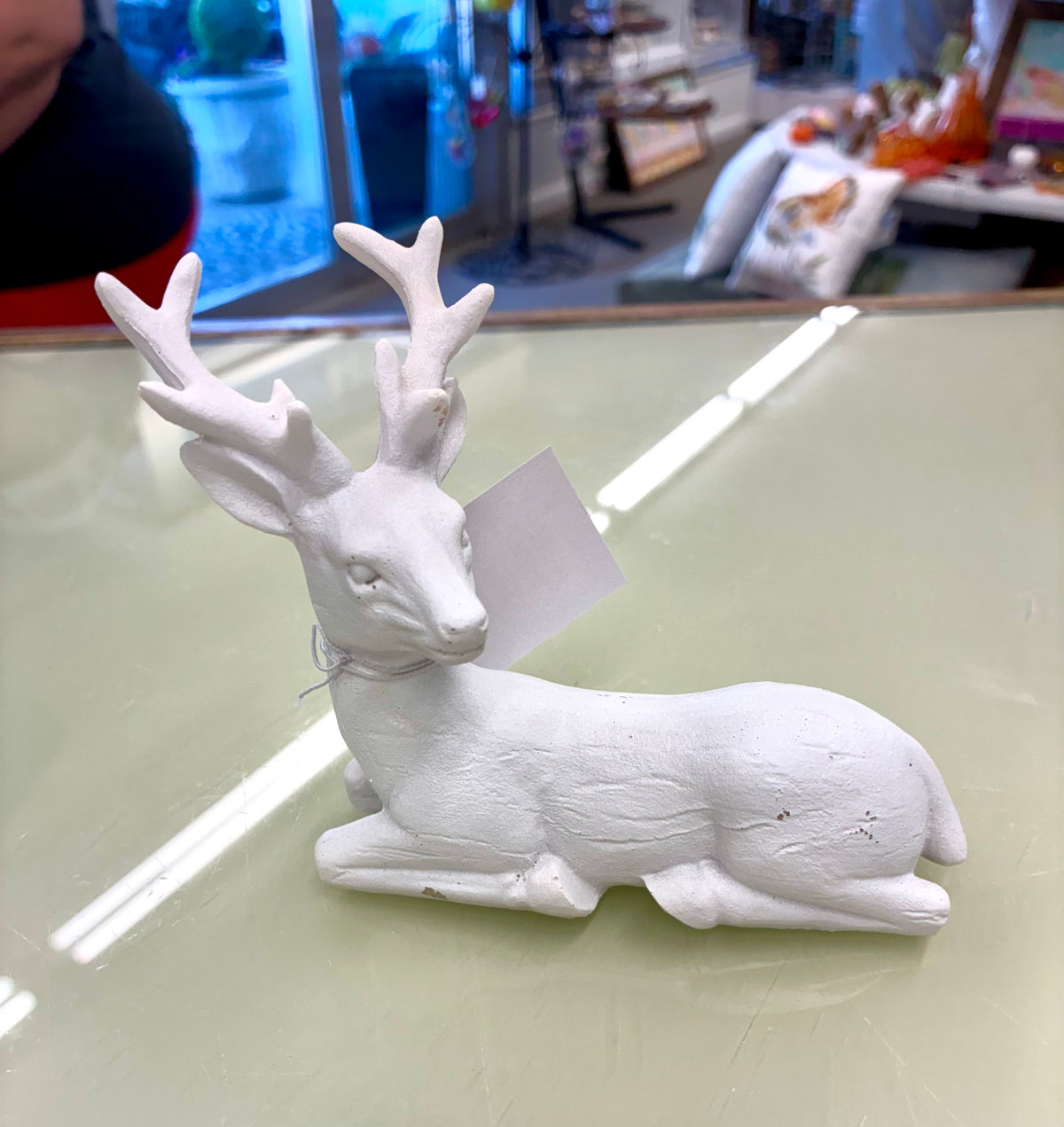 White Stag Deer / Standing and Sitting