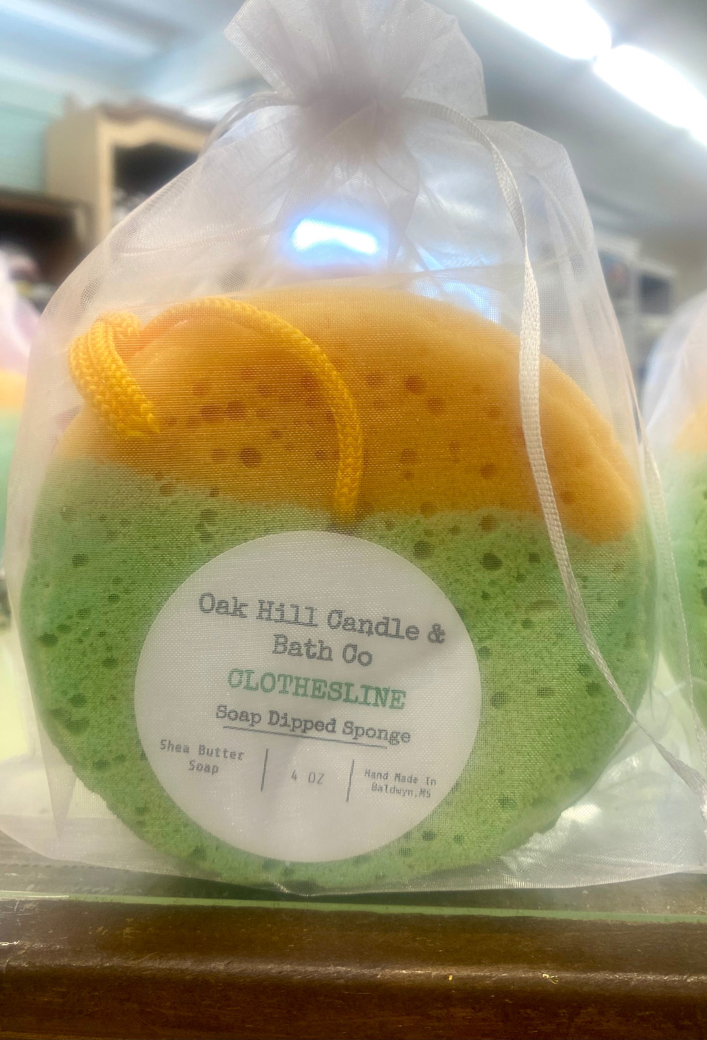 Soap Dipped Sponges (Rainforest) / Oak Hill Candle & Bath Co.