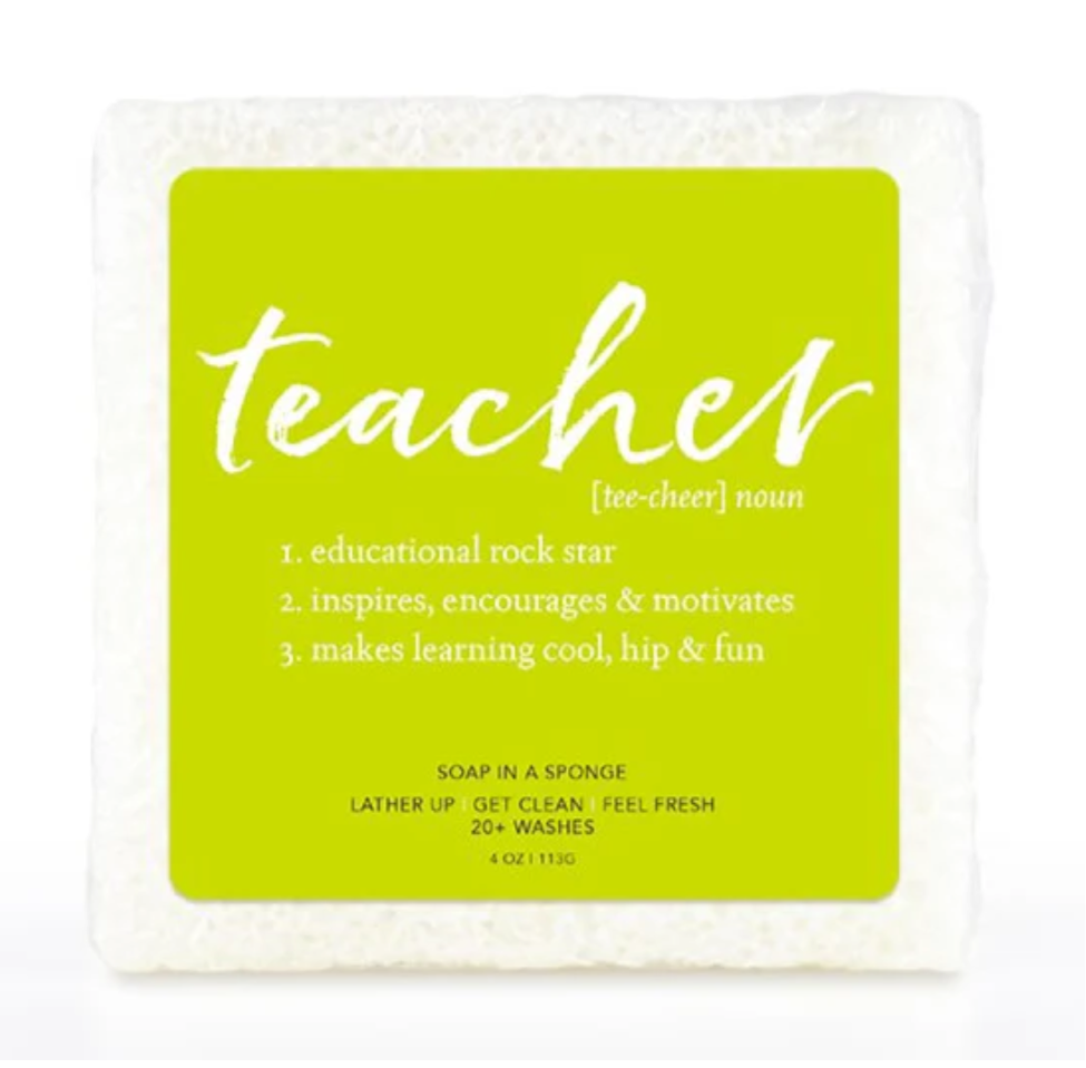 Soap in a Sponge provides - Teacher  Caren Products