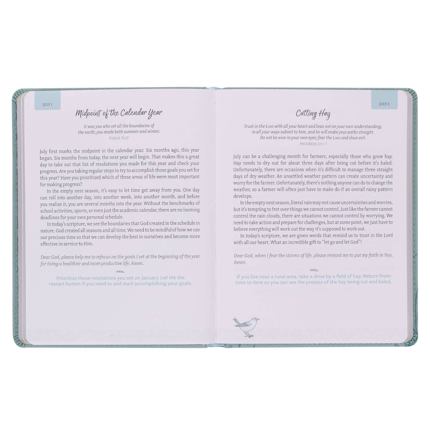 Devotional Daily Hope for  the Empty Nest Faux leather