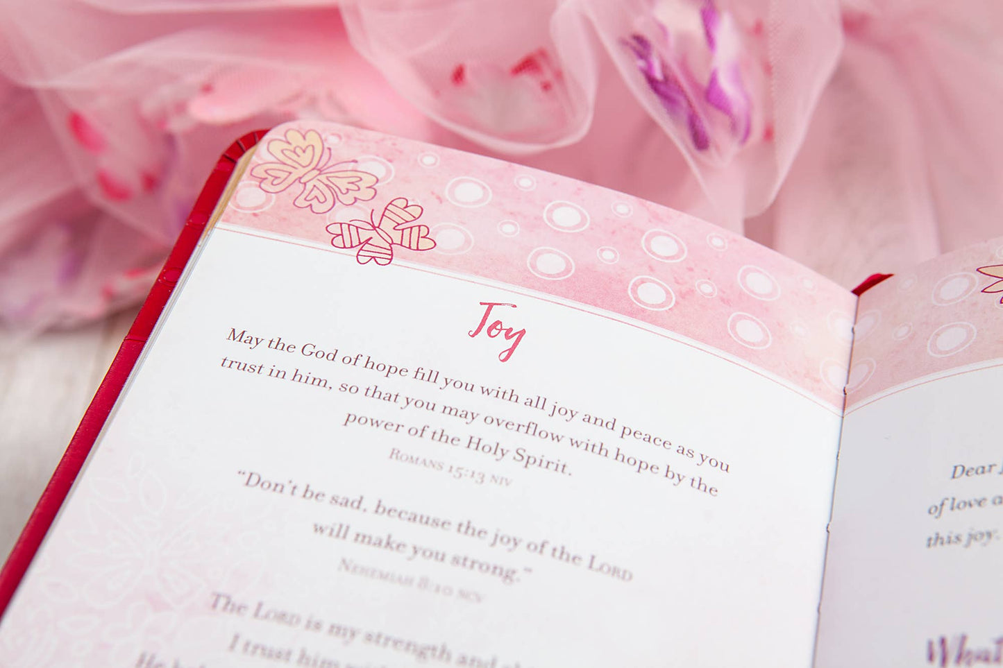 Prayers & Promises for Girls (Devo, Girl's Valentine's Gift)