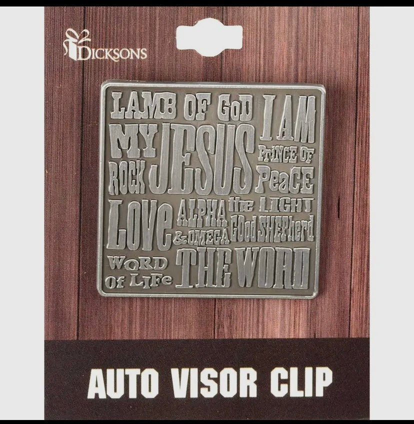 Auto Visor Clip