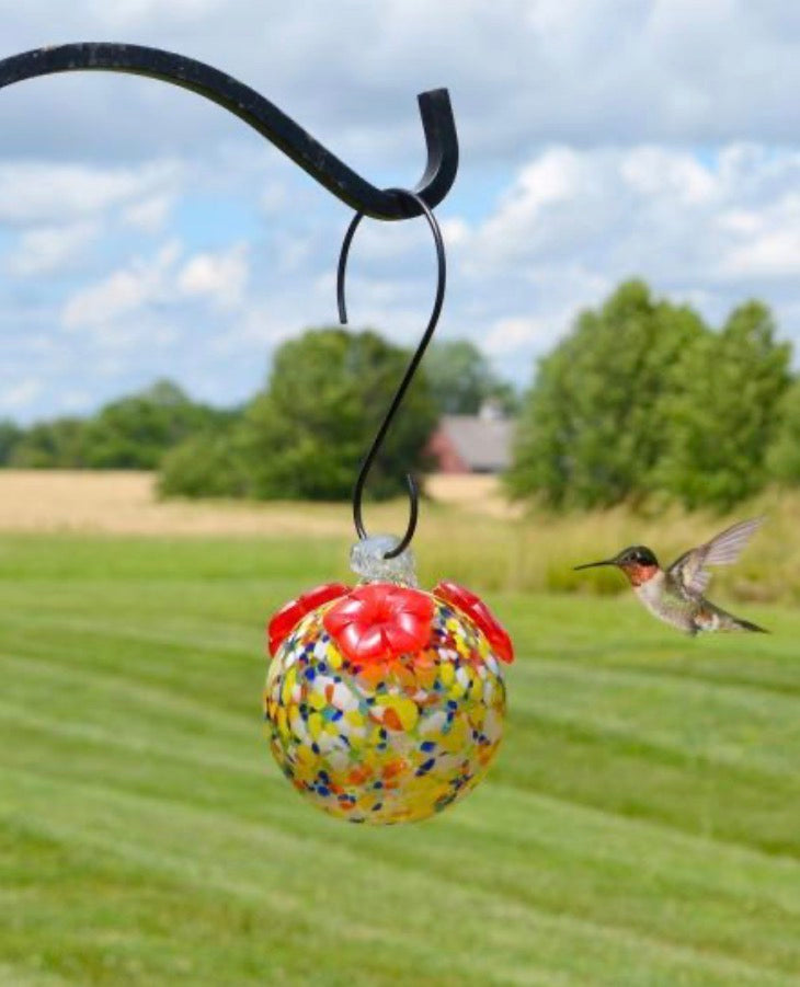 Glass Hummingbird Feeders