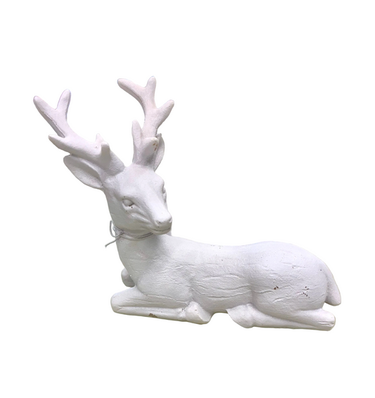 White Stag Deer / Standing and Sitting