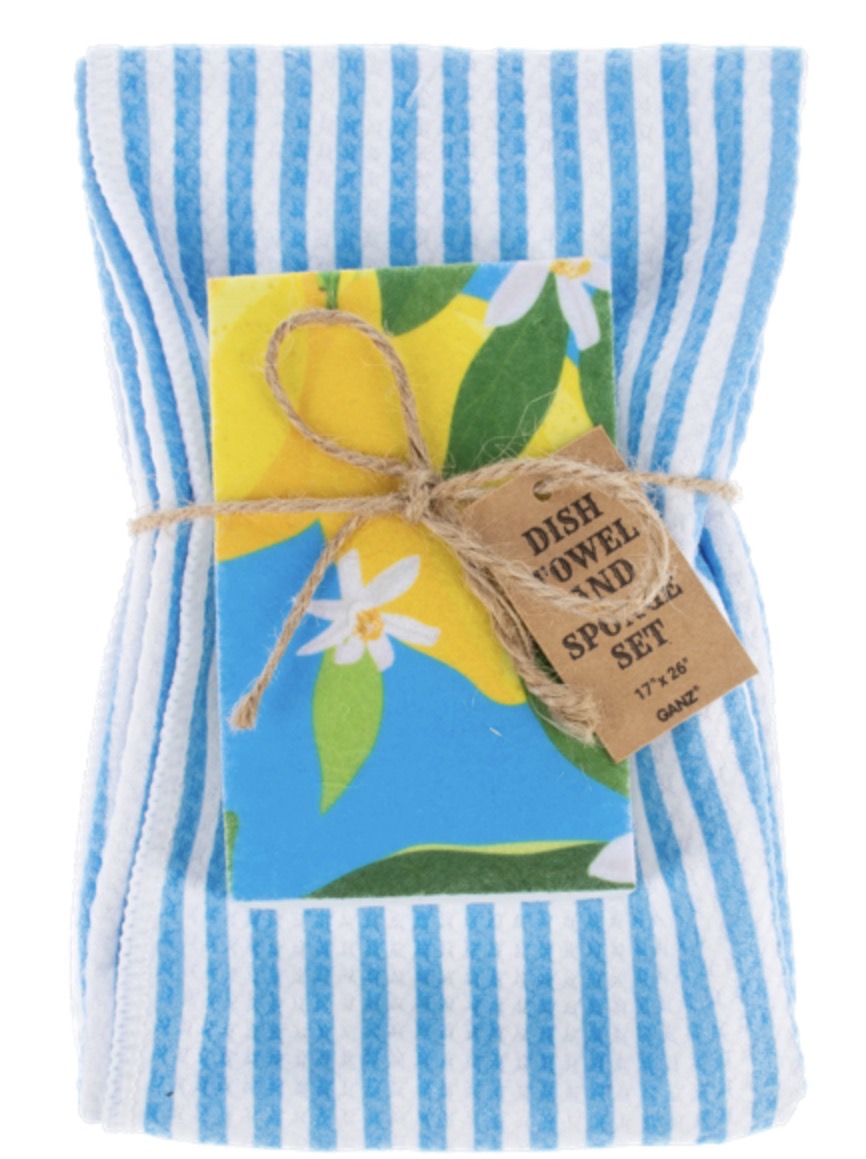 Dish Towel & Sponge Set