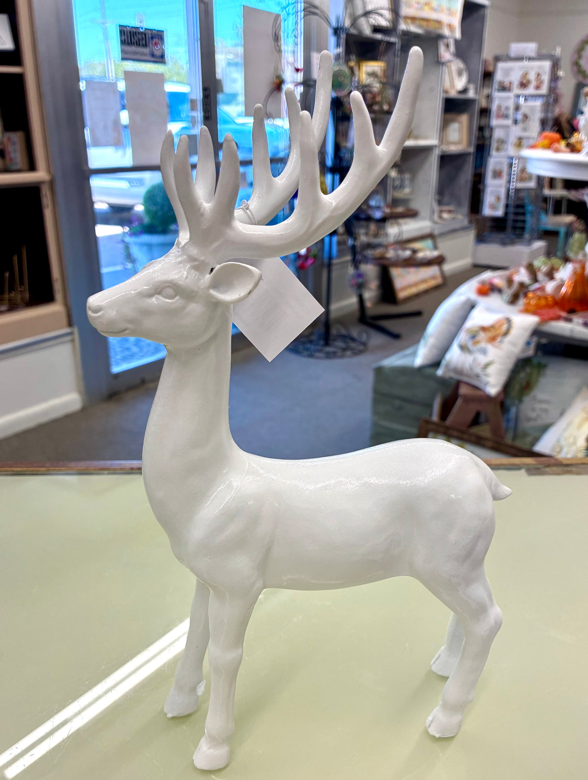 White Stag Deer / Standing & Sitting