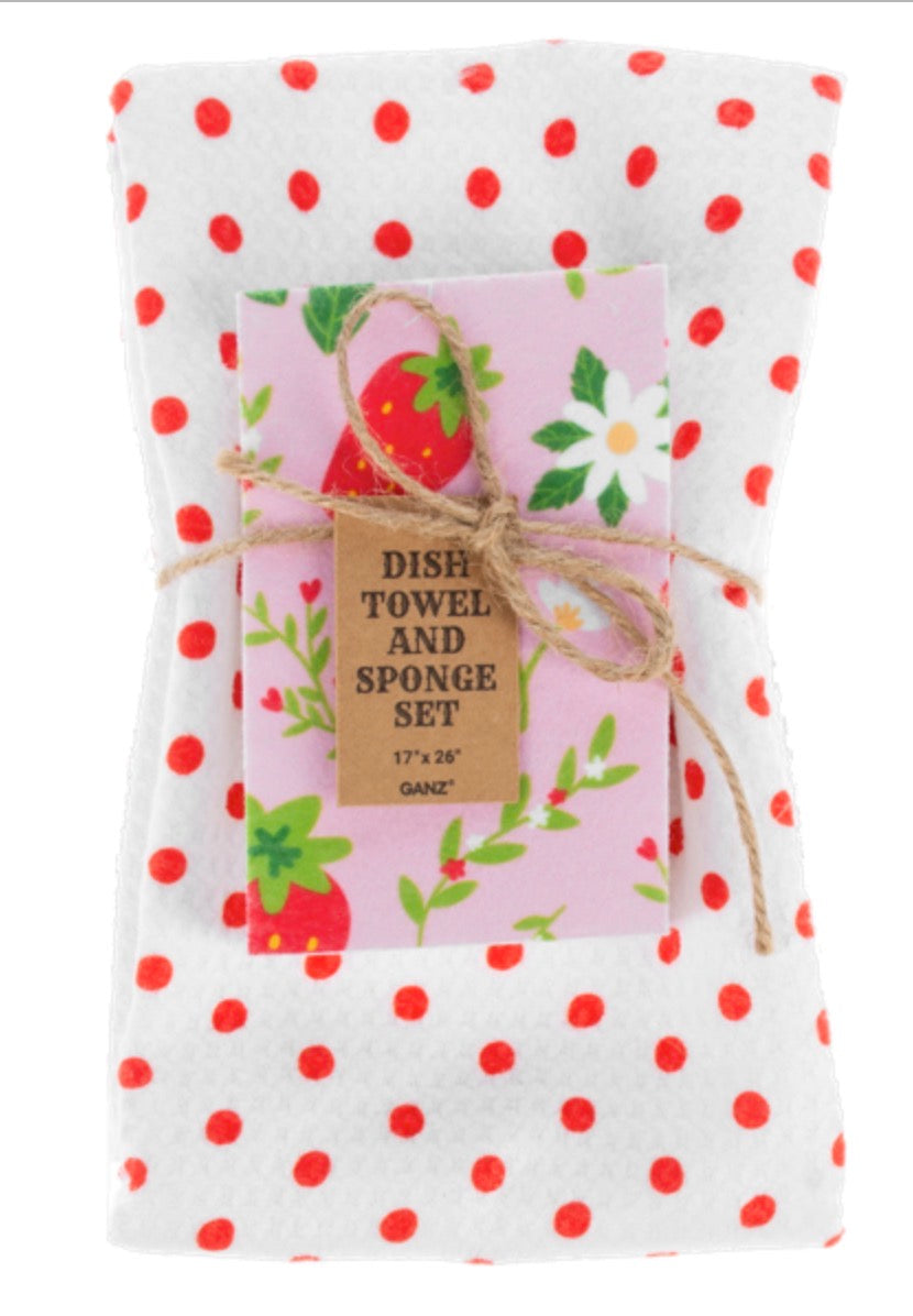 Dish Towel & Sponge Set