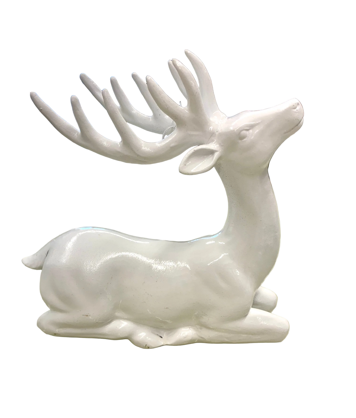 White Stag Deer / Standing & Sitting